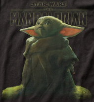 The Mandalorian